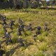 Total War Battles: KINGDOM - Il trailer di annuncio