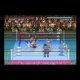 Natsume Championship Wrestling - Il trailer della versione Virtual Console
