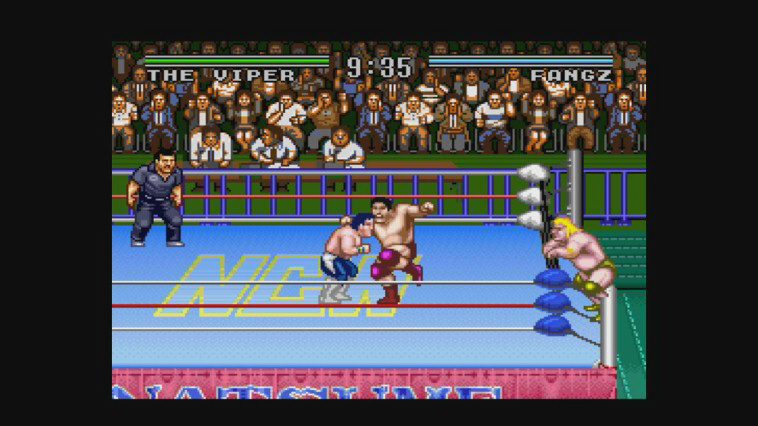 Natsume Championship Wrestling