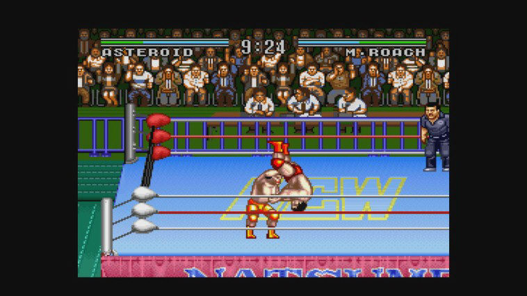 Natsume Championship Wrestling