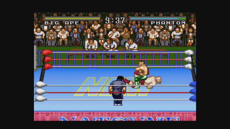 Natsume Championship Wrestling