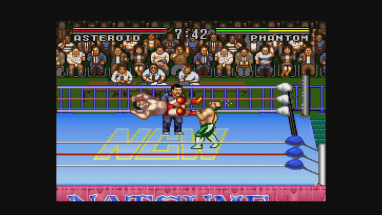 Natsume Championship Wrestling