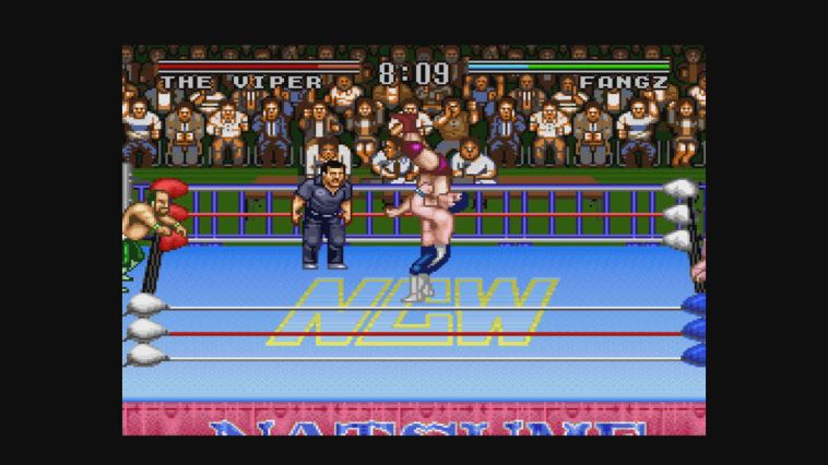 Natsume Championship Wrestling