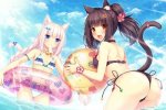 Nekopara Vol. 1, il gioco delle ragazze-gatto, arriverà a giugno su PlayStation 4 e Switch - Notizia