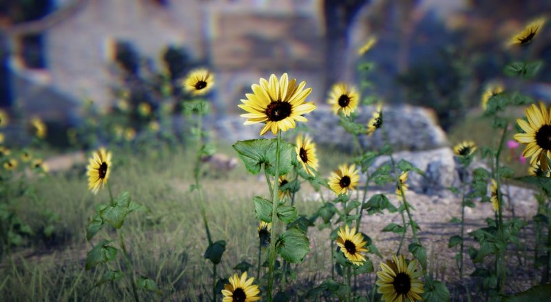 Immagine di Black Desert Online per PC Windows