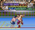 Natsume Championship Wrestling per Nintendo Wii U