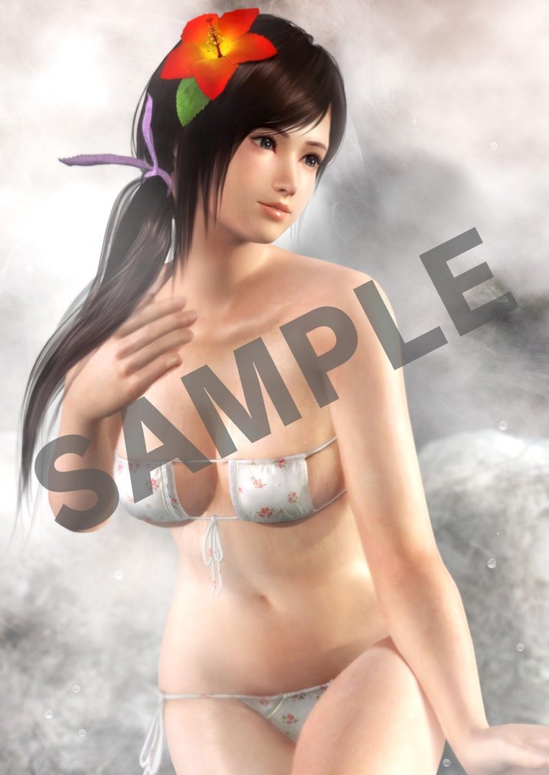Due adorabili poster da bagno per chi ordina l'Ultimate Package di Dead or Alive 5: Last Round Due adorabili poster da bagno per chi ordina l'Ultimate Package di Dead or Alive 5: Last Round