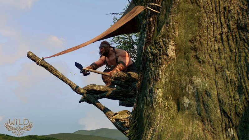 Immagine di WiLD per PlayStation 4