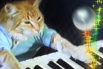 Peggle Blast protagonista di un simpatico video 'virale' - Notizia