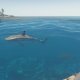 Stranded Deep è disponibile in accesso anticipato su Steam