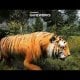 Far Cry 4 - Nvidia ci mostra la tecnologia HairWorks in azione