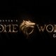 Joe Dever's Lone Wolf Complete - Trailer di lancio