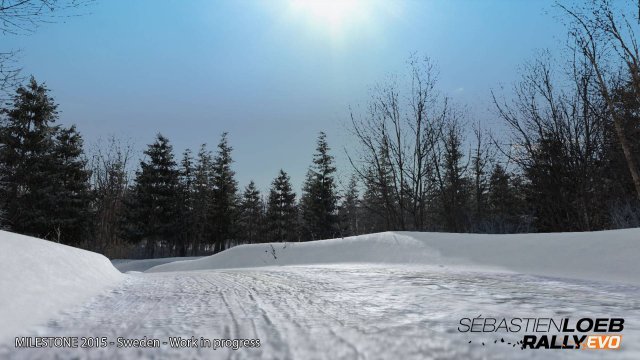 Sébastien Loeb Rally EVO