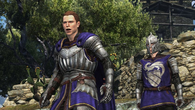 Immagine di Dragon's Dogma Online per PC Windows