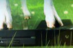 Il Bundle di Goat Simulator arriva il 18 marzo su Xbox One - Notizia
