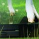 Il Bundle di Goat Simulator arriva il 18 marzo su Xbox One