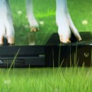 Goat Simulator e Steredenn sono le offerte speciale di oggi su Xbox Store