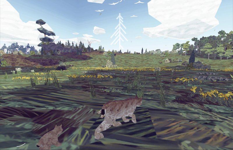 Vita da lince Vita da lince