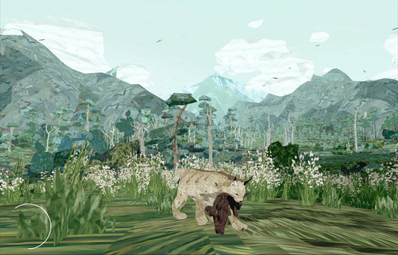 Vita da lince Vita da lince