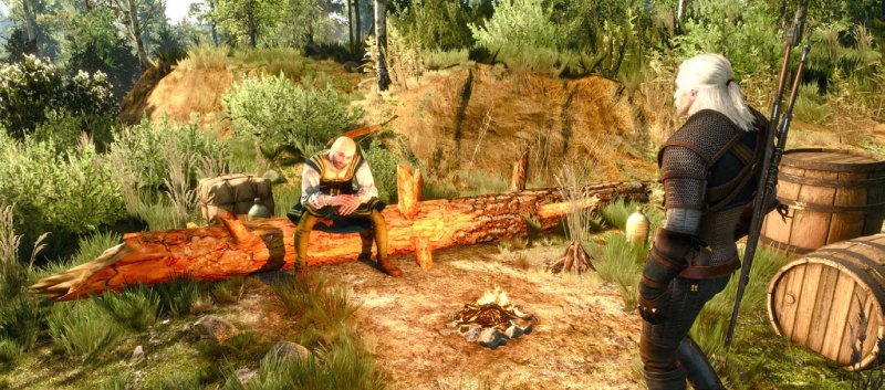 Ulteriori dettagli su The Witcher 3: Wild Hunt Ulteriori dettagli su The Witcher 3: Wild Hunt