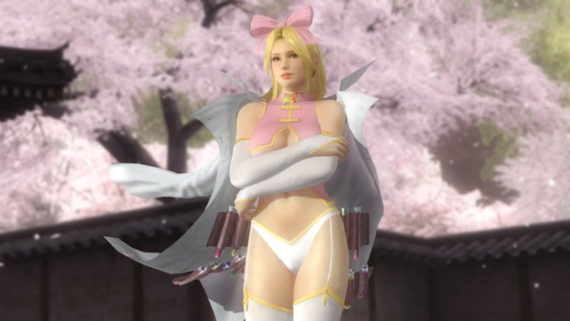 Amicizia breve tra Tecmo e l'utenza PC? Già creata la nude mod per Dead or Alive 5: Last Round Amicizia breve tra Tecmo e l'utenza PC? Già creata la nude mod per Dead or Alive 5: Last Round
