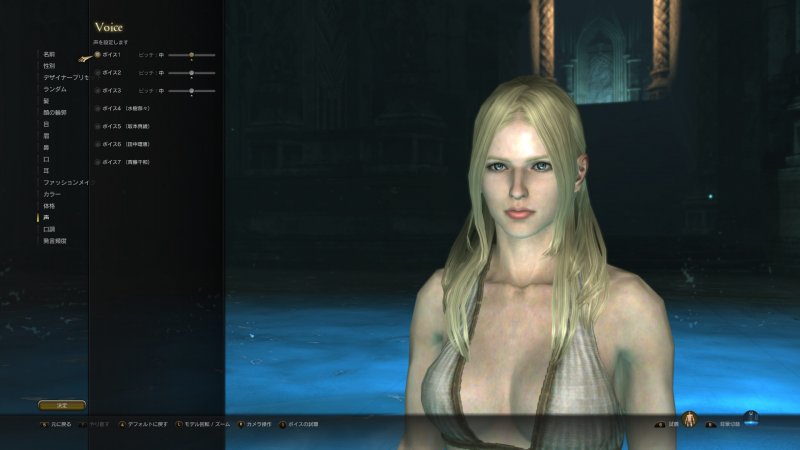 Immagine di Dragon's Dogma Online per PC Windows