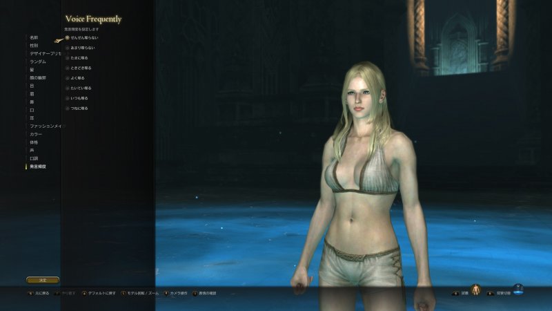 Immagine di Dragon's Dogma Online per PC Windows