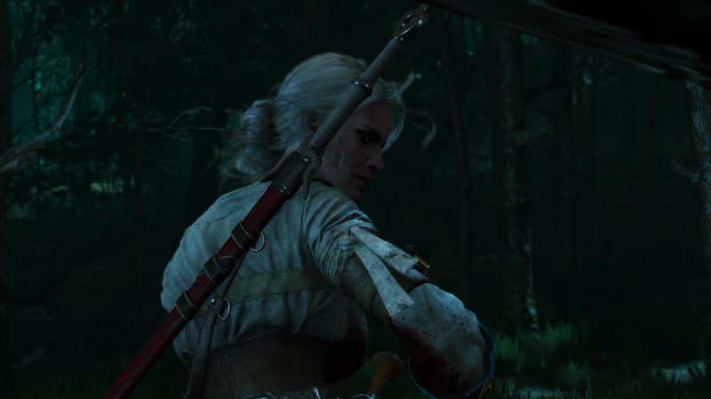 The Witcher 3: Wild Hunt si mostra con due scatti inediti