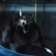 Infinity Runner - Trailer della versione PlayStation 4