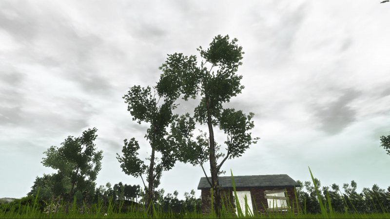 Grass Simulator