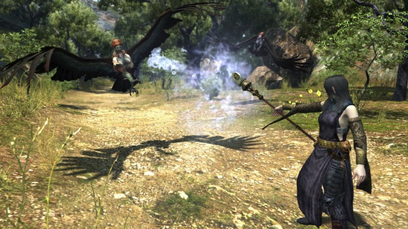 Immagine di Dragon's Dogma Online per PC Windows