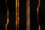 Le classifiche italiane dal 23 al 29 novembre: Call of Duty Black Ops III in testa - Notizia