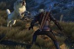 Spuntano possibili dettagli inediti su The Witcher 3: Blood and Wine - Notizia