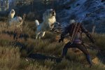 The Witcher 3: Wild Hunt, un piccolo assaggio di Blood & Wine dalla GDC 2016 - Notizia