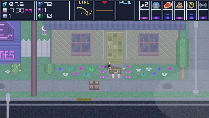 Domestic Dog Simulator