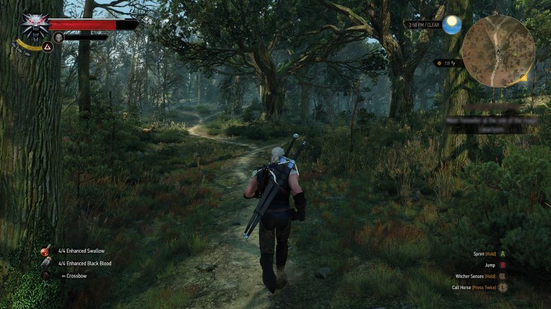 Immagine di The Witcher 3: Wild Hunt per PC Windows