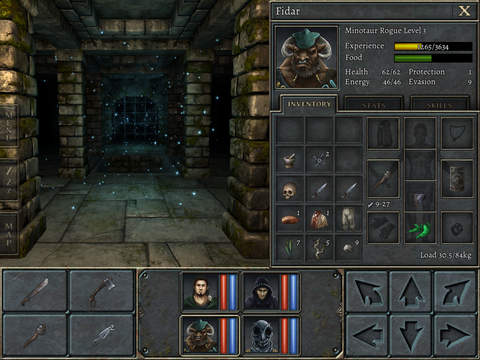 Immagine di Legend of Grimrock per iPad