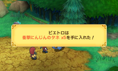 Immagine di Return to PopoloCrois: A Story of Seasons Fairytale per Nintendo 3DS