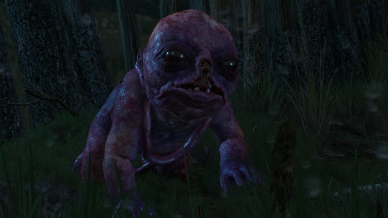 Immagine di The Witcher 3: Wild Hunt per PlayStation 4