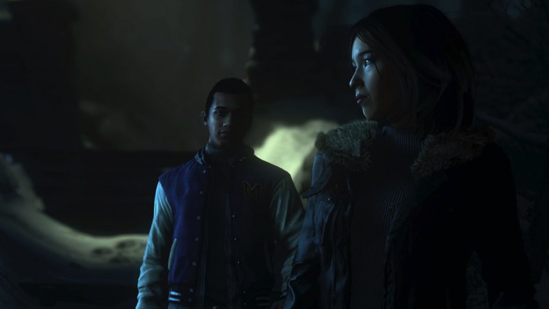 Immagine di Until Dawn (2015) per PlayStation 4