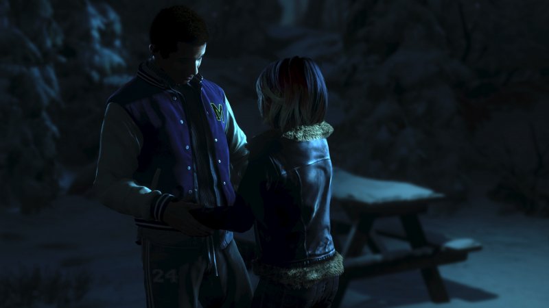 Immagine di Until Dawn (2015) per PlayStation 4