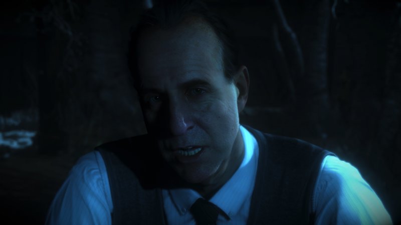 Immagine di Until Dawn (2015) per PlayStation 4