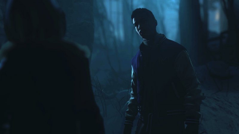 Immagine di Until Dawn (2015) per PlayStation 4