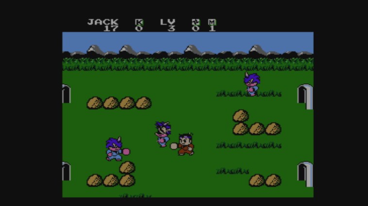 Little Ninja Brothers