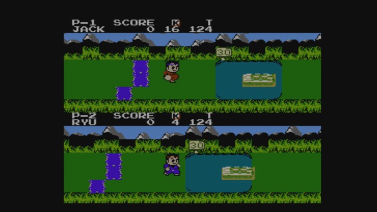 Little Ninja Brothers