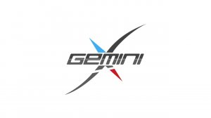 Gemini_X