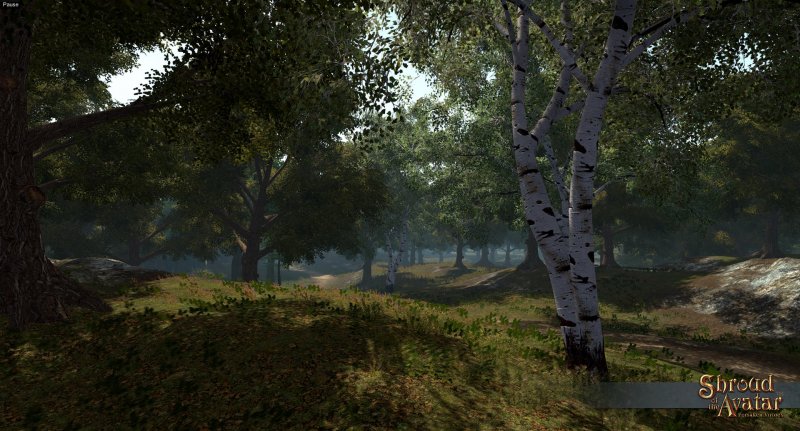 Immagine di Shroud of the Avatar: Forsaken Virtues per PC Windows