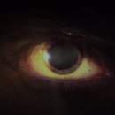 E3 2015 - Vediamo il primo trailer di ENKI, il nuovo titolo degli autori di NERO