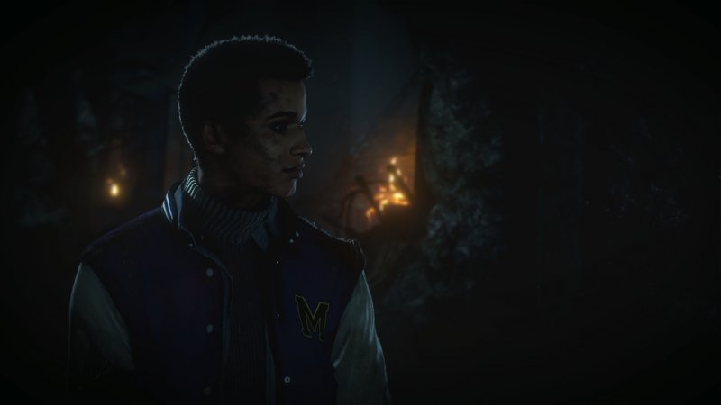 Immagine di Until Dawn (2015) per PlayStation 4