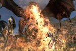 Nuove immagini per Dragon's Dogma Online - Notizia